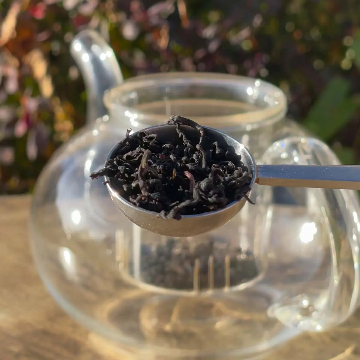 Georgian-Blueberry-Leaf-1 Georgian Blueberry Leaf Tea 1