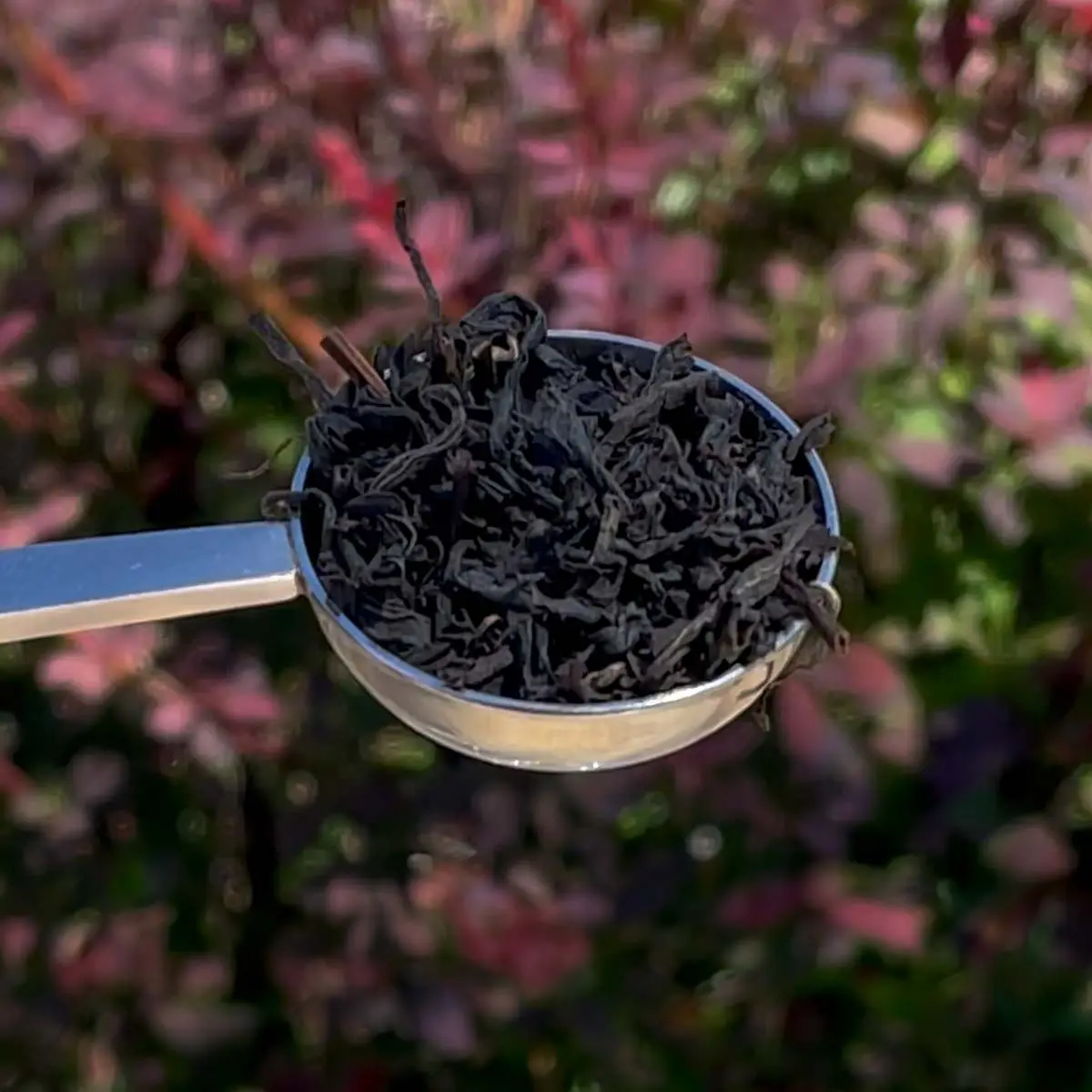 georgian-orthodox-rolled-black-1 georgian orthodox rolled black tea 1