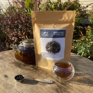 Georgian Forest Blueberry Leaf