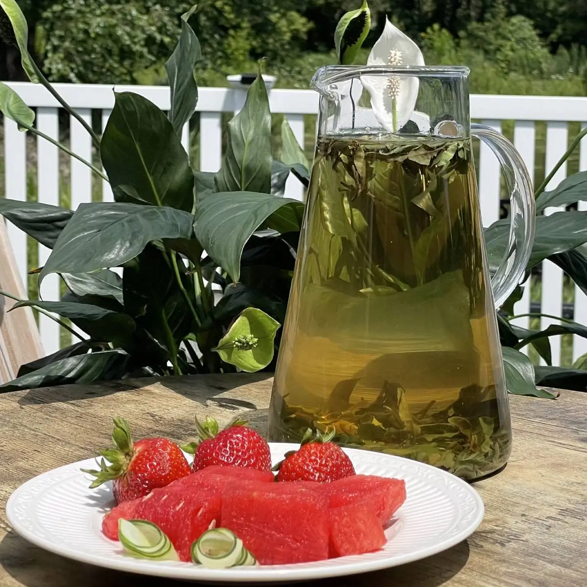 georgian-forest-white-3 georgian forest white 3