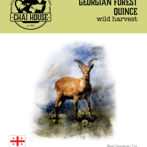 Georgian Forest Quince