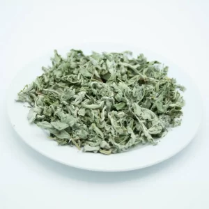 Georgian Mountain Mint