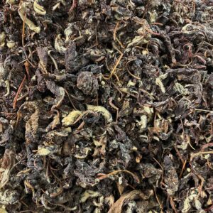 Georgian Forest Apple Leaf