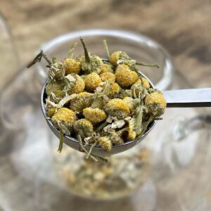 Kampos Wild Harvest (Wellness)