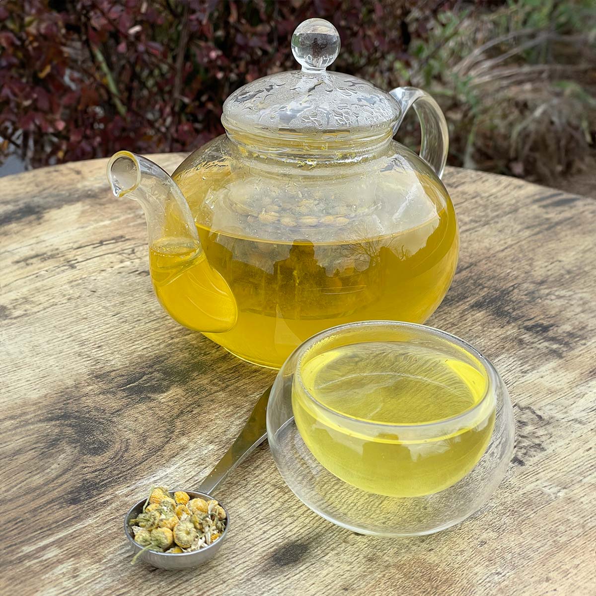 Kampos-Wild-Harvest-3